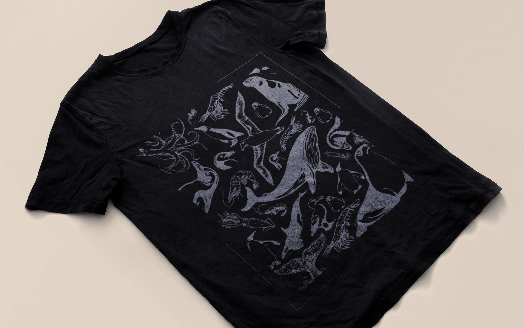 Camisa AN010C Edición limitada