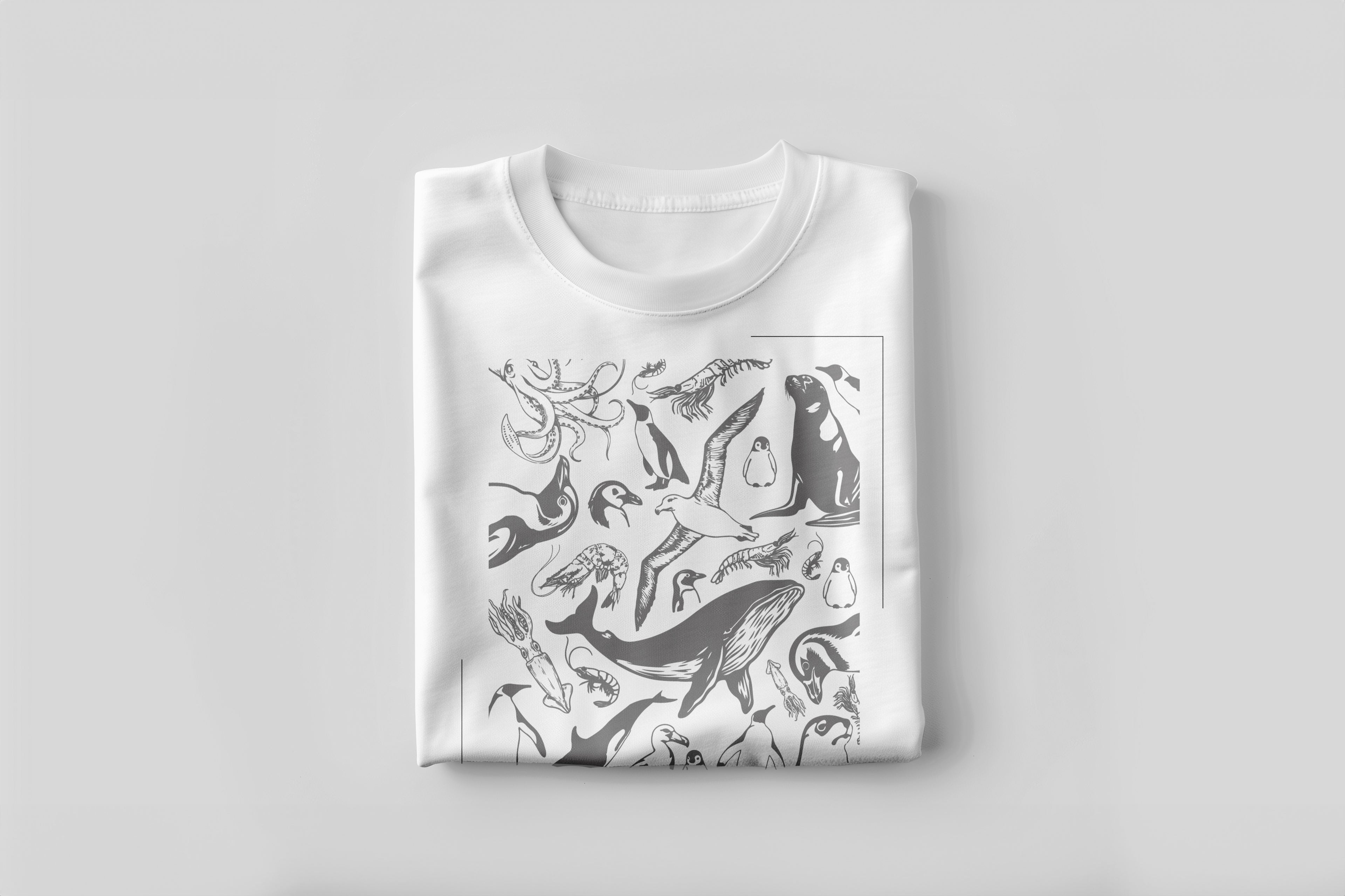 Camisa AN010C Edición limitada